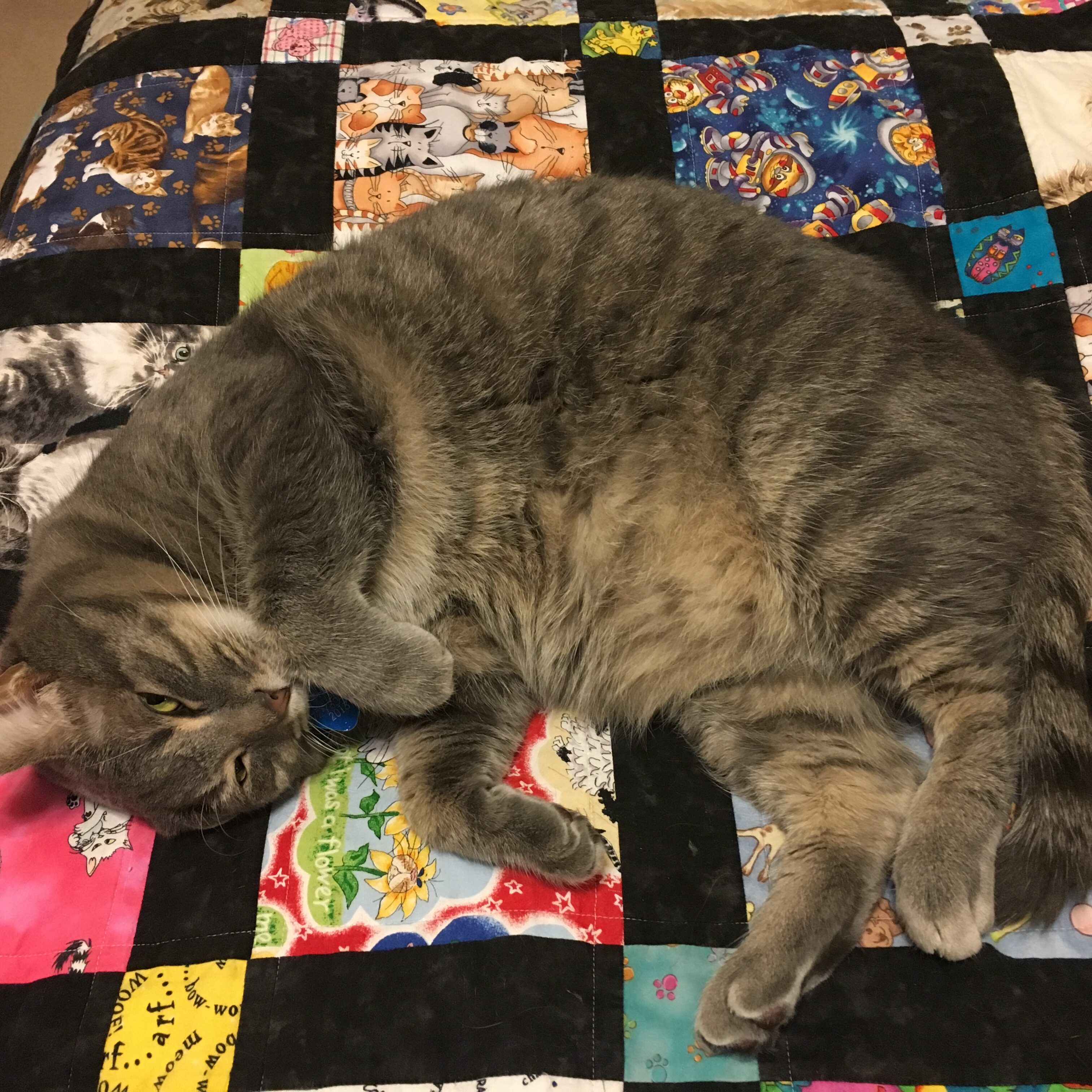 stripersquilt